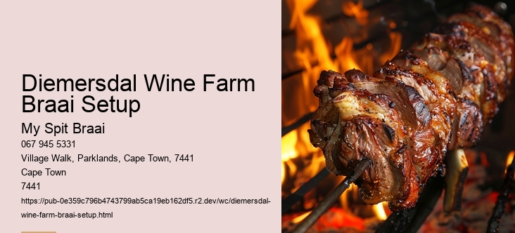 Diemersdal Wine Farm Braai Setup